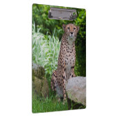 Porte-bloc Porte - bloc photo Cheetah (Swatch)
