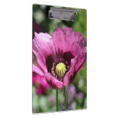 Porte-bloc Porte - bloc pourpre (Swatch)