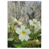 Porte-bloc Porte - bloc Primrose (Dos)