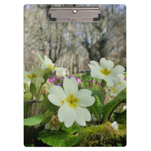 Porte-bloc Porte - bloc Primrose (Devant)