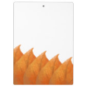 Porte-bloc Porte-documents feuilles orange automne (Dos)