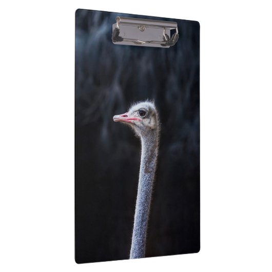 Porte-bloc portrait d'autruche (Swatch)