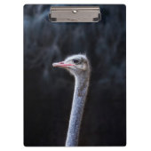 Porte-bloc portrait d'autruche (Devant)