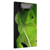 Porte-bloc Portrait de caméléon à cou plat (Swatch)