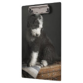 Porte-bloc Portrait de chiot de queue écourtée dans le studio (Gauche)