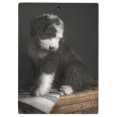 Porte-bloc Portrait de chiot de queue écourtée dans le studio (Dos)