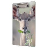 Porte-bloc Portrait de Kudu (Gauche)