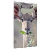 Porte-bloc Portrait de Kudu (Swatch)