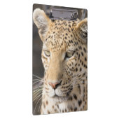 Porte-bloc Portrait de Léopard (Swatch)