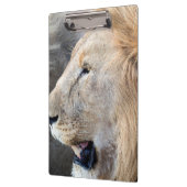Porte-bloc Portrait de Lion (Gauche)