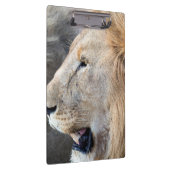 Porte-bloc Portrait de Lion (Swatch)