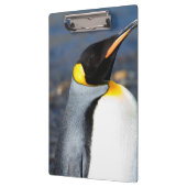 Porte-bloc Portrait de pingouin (Gauche)