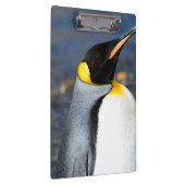 Porte-bloc Portrait de pingouin (Swatch)