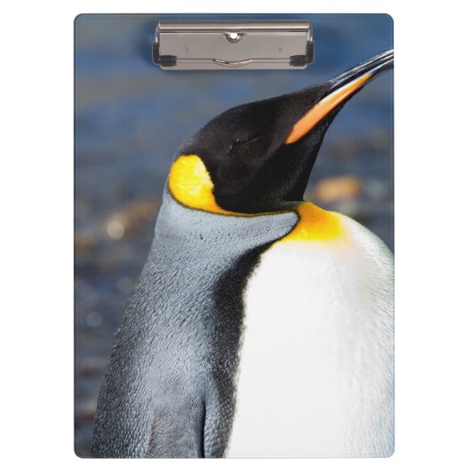 Porte-bloc Portrait de pingouin (Devant)