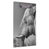 Porte-bloc Portrait d'éléphant (Swatch)