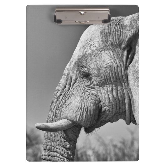 Porte-bloc Portrait d'éléphant (Devant)
