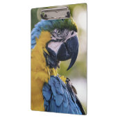 Porte-bloc Portrait du profil de la perroquet macaw (Gauche)