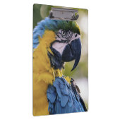 Porte-bloc Portrait du profil de la perroquet macaw (Swatch)