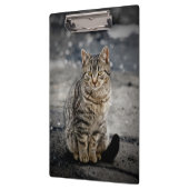 Porte-bloc Portrait d'un chat (Gauche)