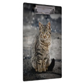 Porte-bloc Portrait d'un chat (Swatch)