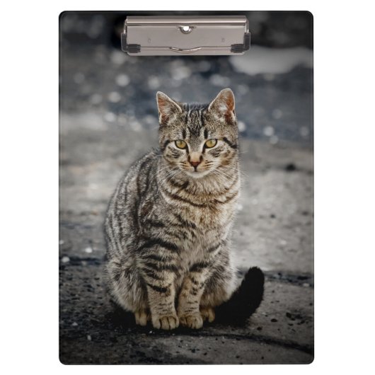 Porte-bloc Portrait d'un chat (Devant)