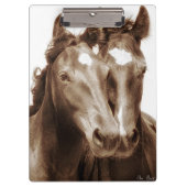 Porte-bloc Portrait III de cheval (Devant)