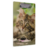 Porte-bloc Portrait mignon de photo de chaton de chat de (Swatch)