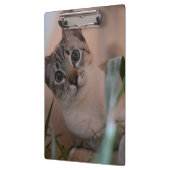 Porte-bloc Portrait photo de chat (Gauche)