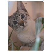 Porte-bloc Portrait photo de chat (Dos)