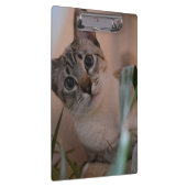 Porte-bloc Portrait photo de chat (Swatch)