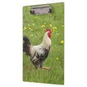 Porte-bloc poulet, coq, animal, oiseau, ferme, agriculture, (Gauche)