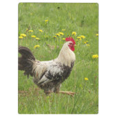 Porte-bloc poulet, coq, animal, oiseau, ferme, agriculture, (Dos)