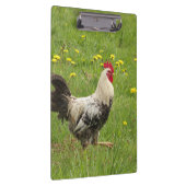 Porte-bloc poulet, coq, animal, oiseau, ferme, agriculture, (Swatch)