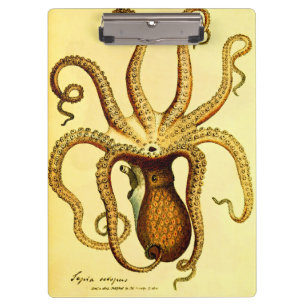 Porte-bloc Poulpe Vintage n° 46 Naturaliste de l'Académie S