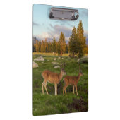 Porte-bloc Pré de Tuolumne, Yosemite (Swatch)