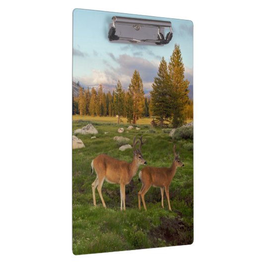 Porte-bloc Pré de Tuolumne, Yosemite (Swatch)