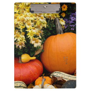 Porte-bloc Présentation colorée de citrouilles décoratives d'