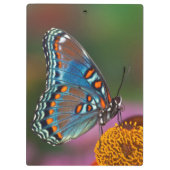 Porte-bloc Profil de papillon sur une fleur (Dos)