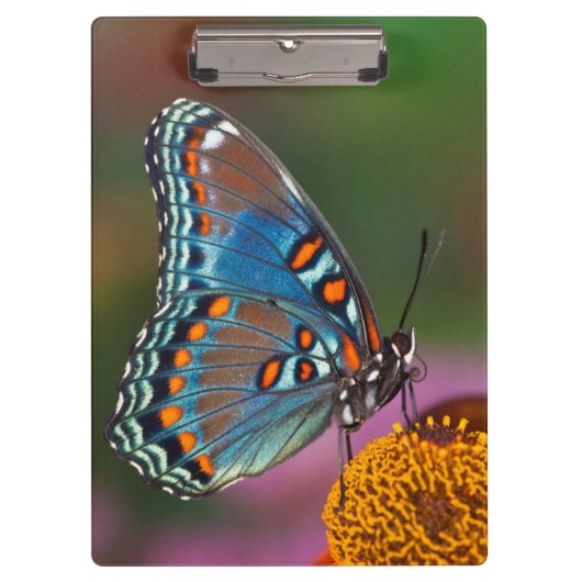 Porte-bloc Profil de papillon sur une fleur (Devant)