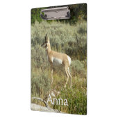 Porte-bloc Pronghorn au Parc national de Grand Teton (Gauche)