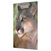 Porte-bloc Puma, Californie (Gauche)