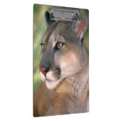 Porte-bloc Puma, Californie (Swatch)