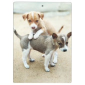 Porte-bloc Puppies mignonnes jouer sur la plage (Dos)