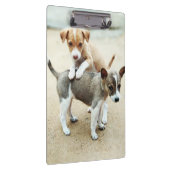 Porte-bloc Puppies mignonnes jouer sur la plage (Swatch)