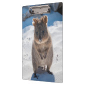 Porte-bloc Quokka mignon et heureux sur la plage Australie (Gauche)