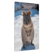 Porte-bloc Quokka mignon et heureux sur la plage Australie (Swatch)