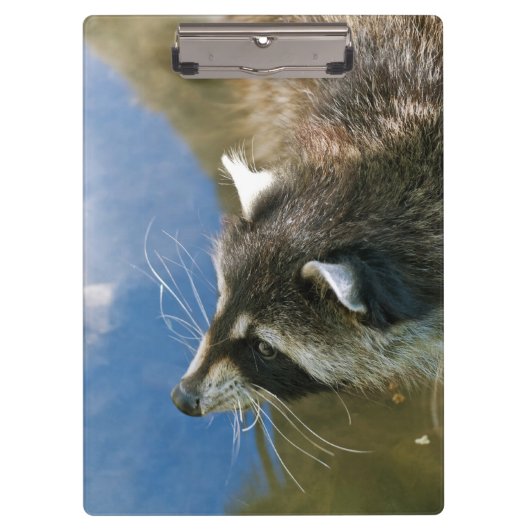 Porte-bloc Raccoon (Devant)