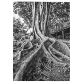 Porte-bloc Racines massives de caoutchouc (Dos)