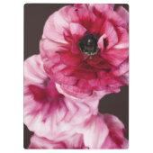Porte-bloc Ranunculus rouge (Dos)