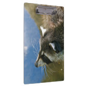 Porte-bloc Raton laveur (Swatch)